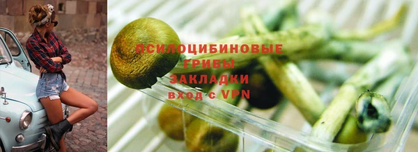 мет Алексин