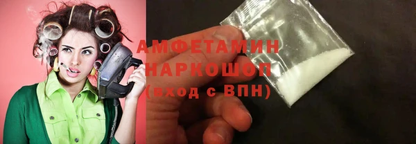 мет Алексин