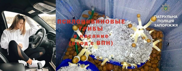 мет Алексин