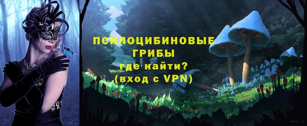 метамфетамин Алексеевка