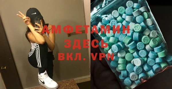 мет Алексин